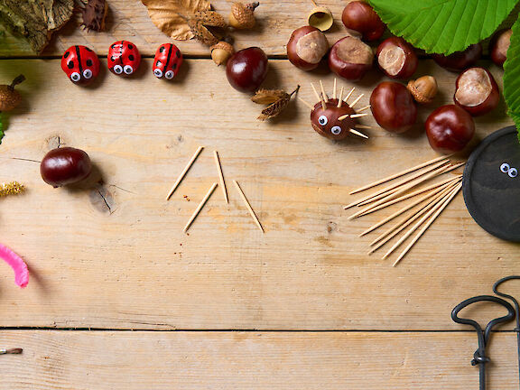 Schritt 5: Zahnstocher für die Bein passend brechen